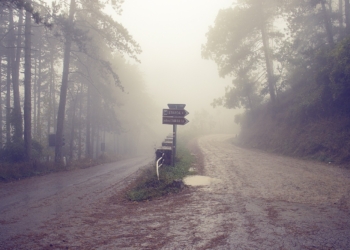 ¿Nuevos caminos para el triatlón?