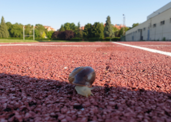 Mi primer plan de entrenamiento de un 10k