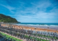 Zarautz 2027 abre su particular lotería: 650 dorsales para volver a la Meca del triatlón